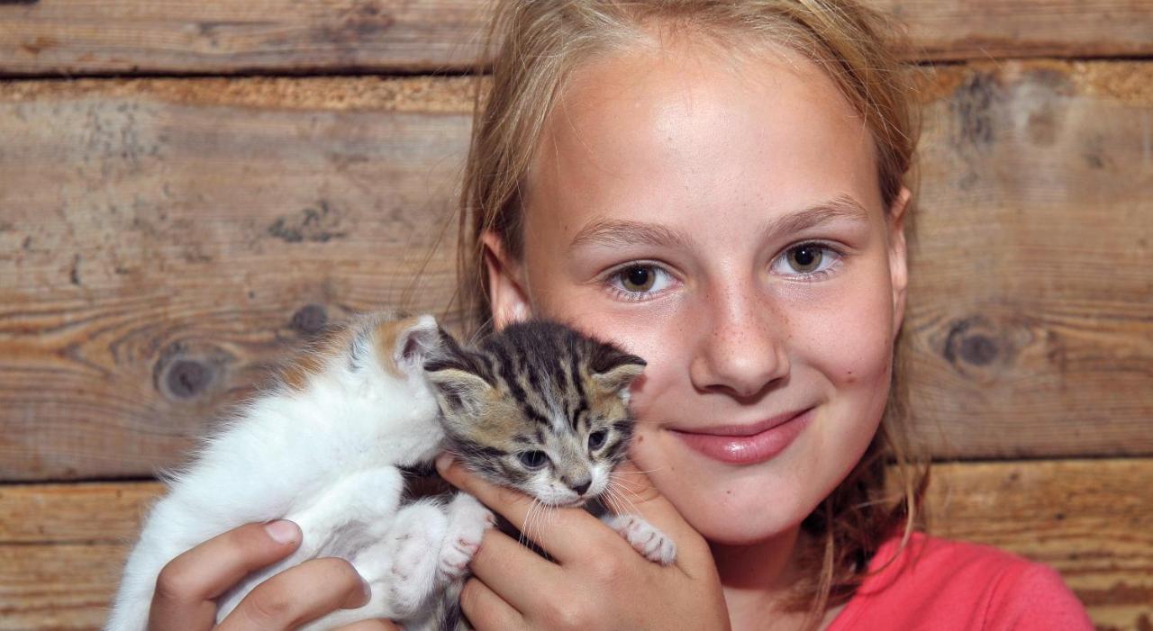 Willa Abelhof Schladming Zewnętrze zdjęcie