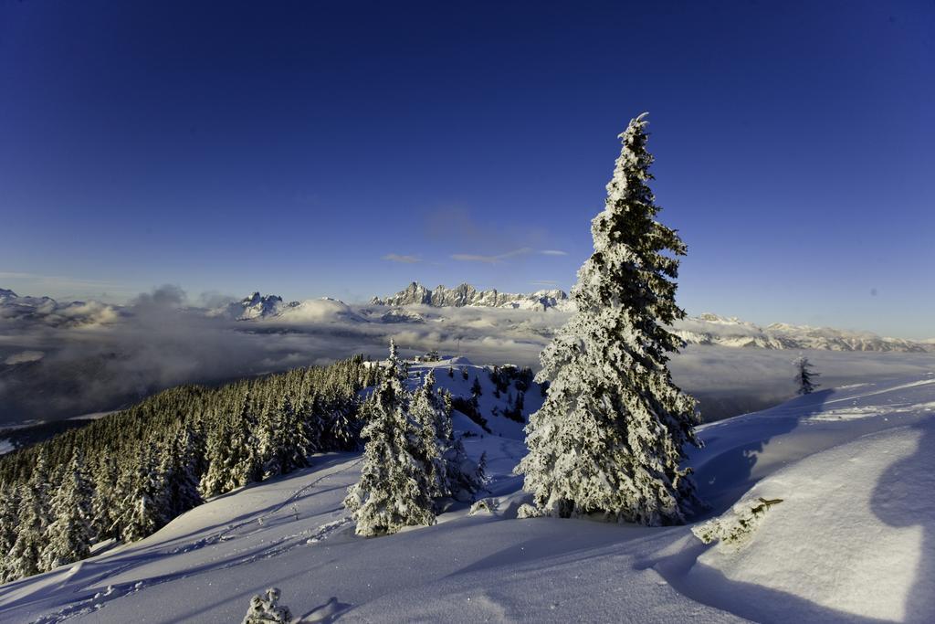 Willa Abelhof Schladming Zewnętrze zdjęcie